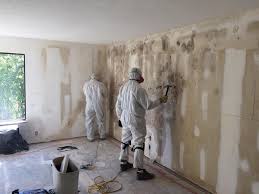 Best Environmental Consulting for Mold Prevention  in Renville, MN